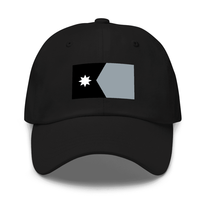 New Minnesota State Flag Hat - NicheMerch