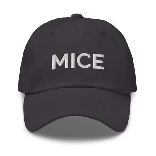 Mice Hat - Dark Grey