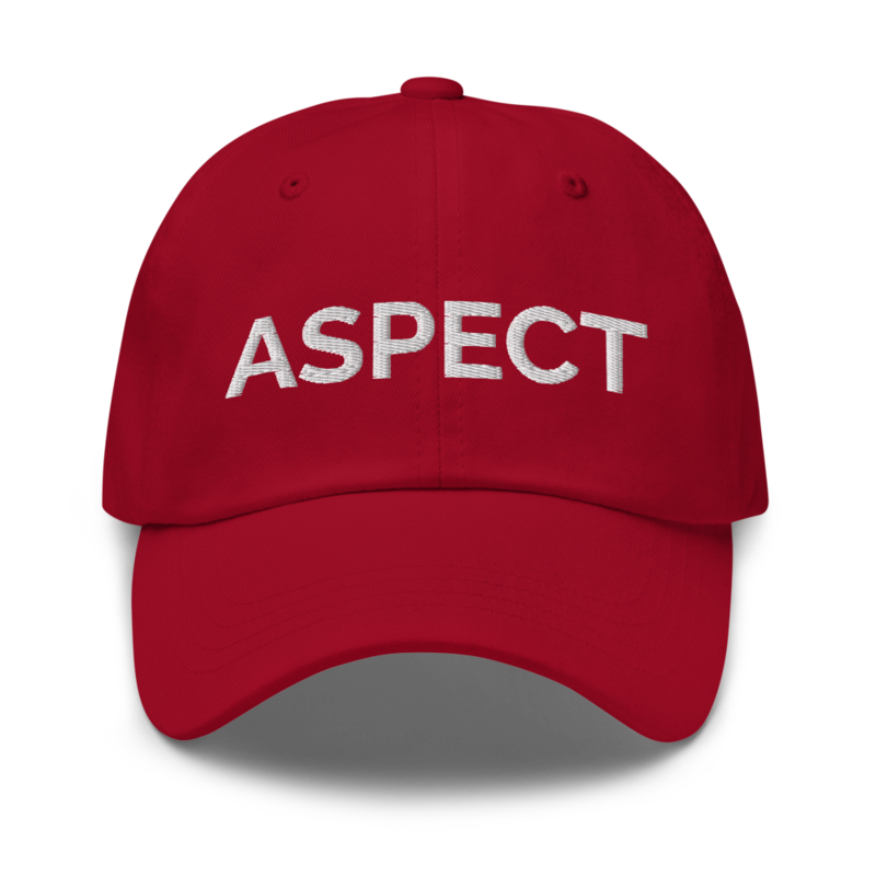 Aspect Hat - Cranberry