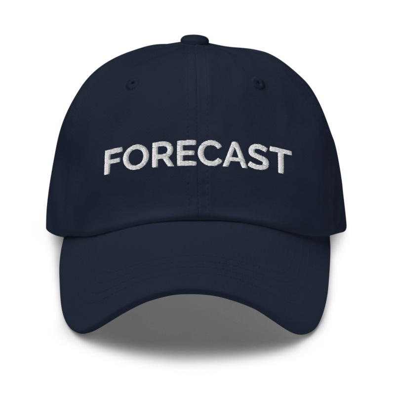 Forecast Hat - Navy