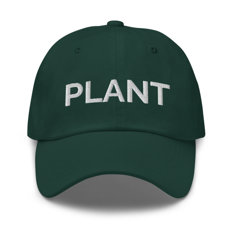 Plant Hat - Spruce