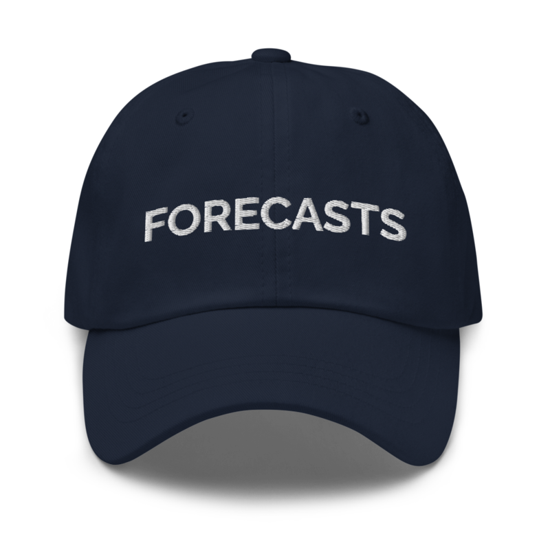 Forecasts Hat - Navy