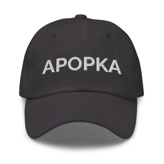 Apopka Hat - Dark Grey