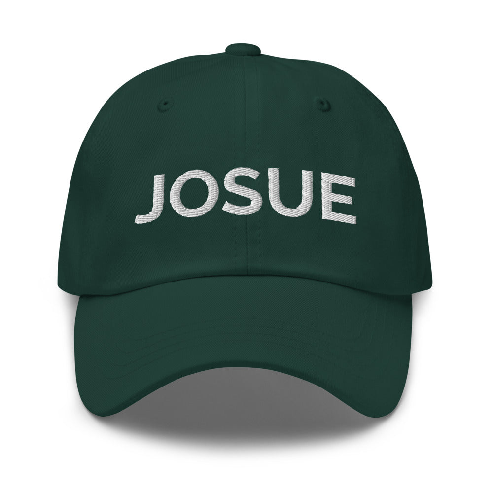 Josue Hat - Spruce