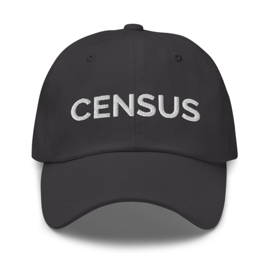 Census Hat - Dark Grey
