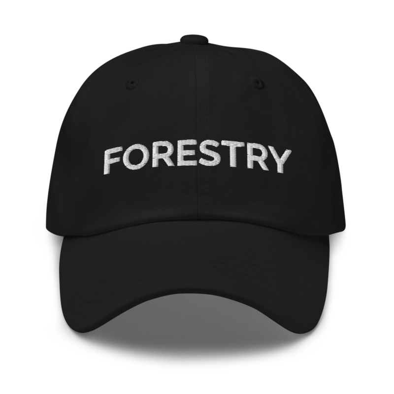 Forestry Hat - Black