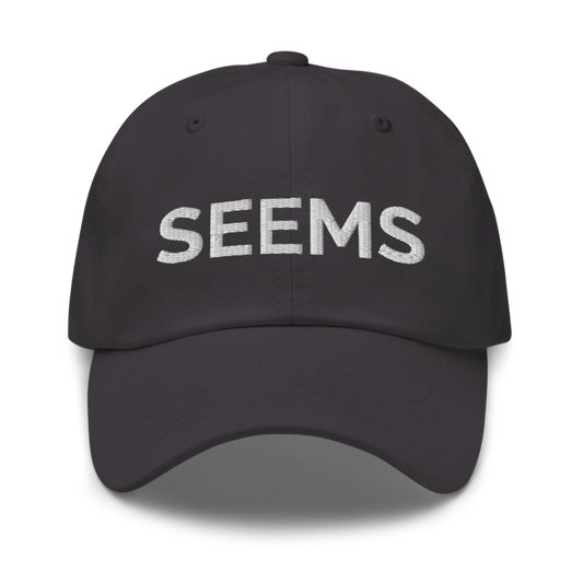 Seems Hat - Dark Grey