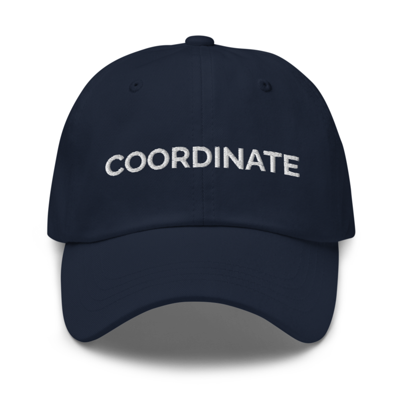 Coordinate Hat - Navy